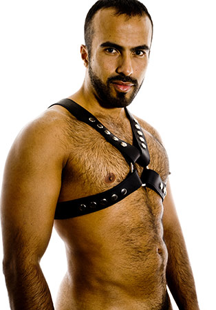bhavesh singh recommends Hairy Muscle Bears