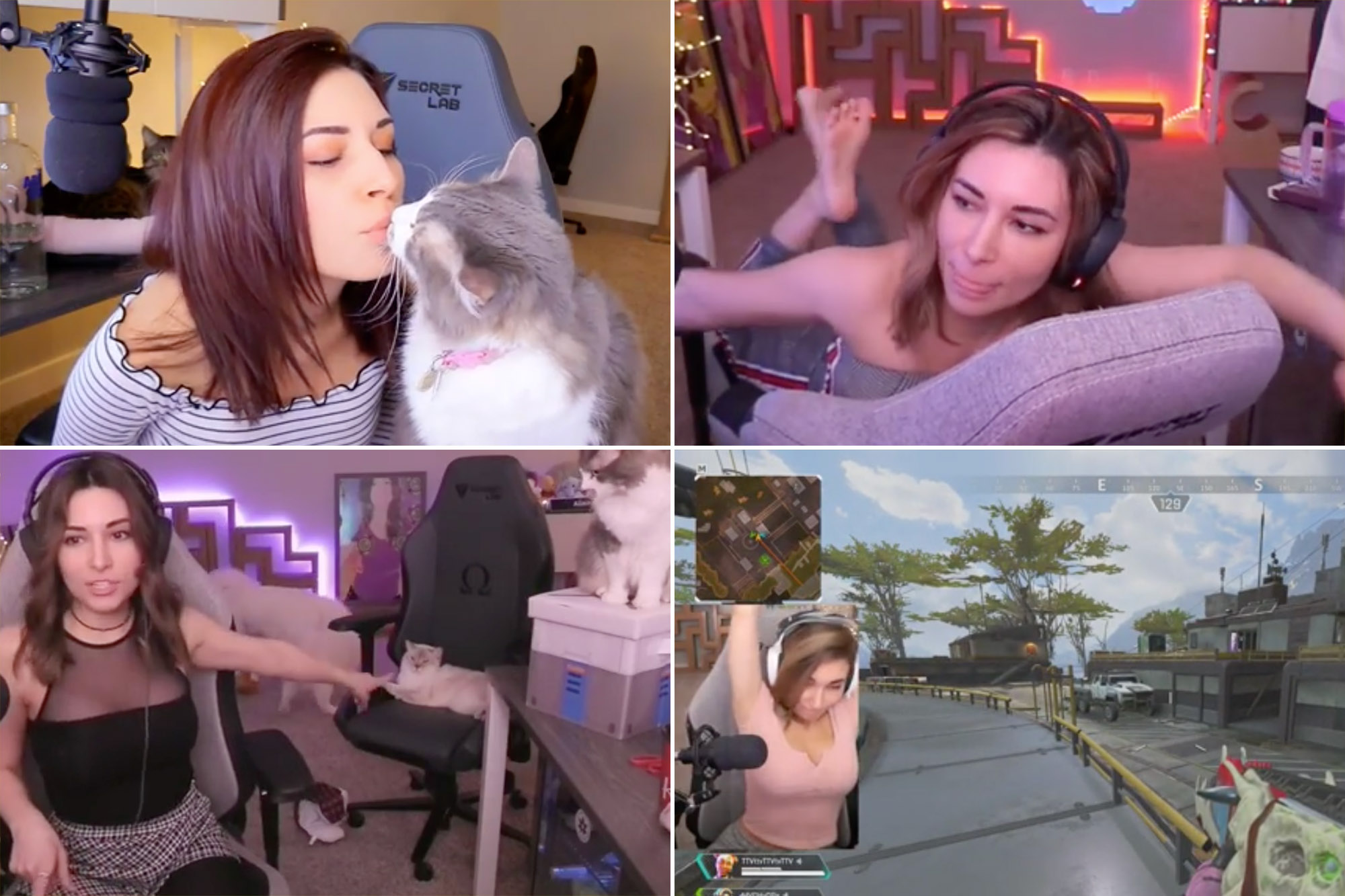 amal nada recommends twitch stream nip slip pic