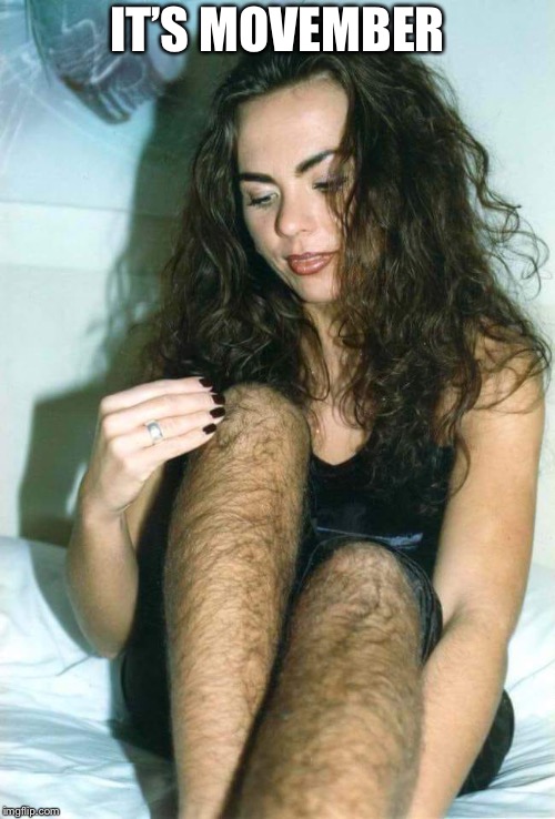 brett magill add hairy woman memes photo