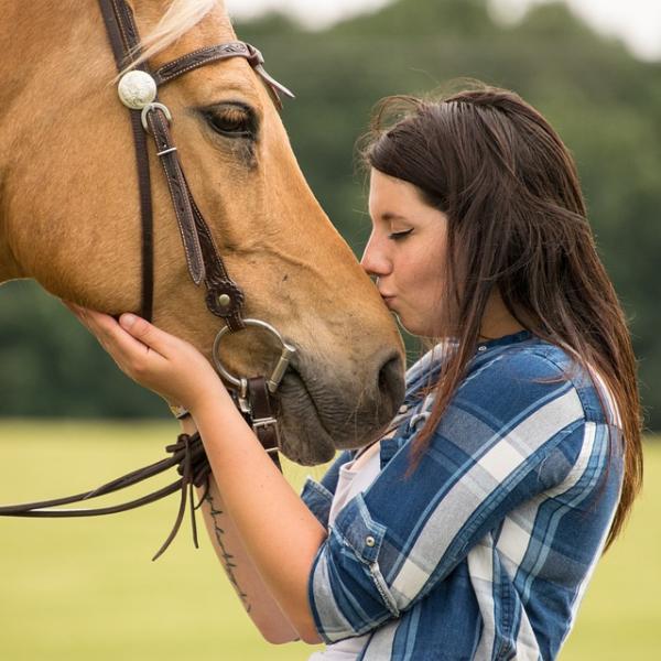 chrissy mckinney recommends mujeres haciendo el amor con caballos pic