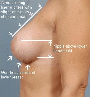 perfect natural boobs