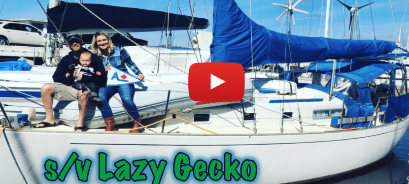Lazy Gecko Sailing Patreon operator money