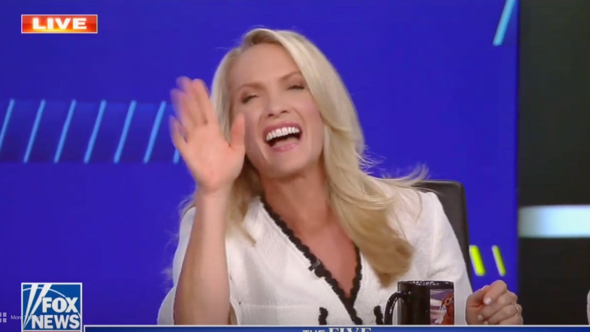 dana perino is hot