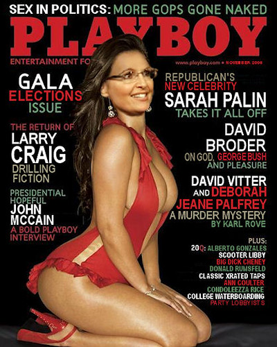 Sara Palin Nip Slip porno ever