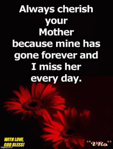 bianca paraschiv recommends Do You Miss Your Mom Gif