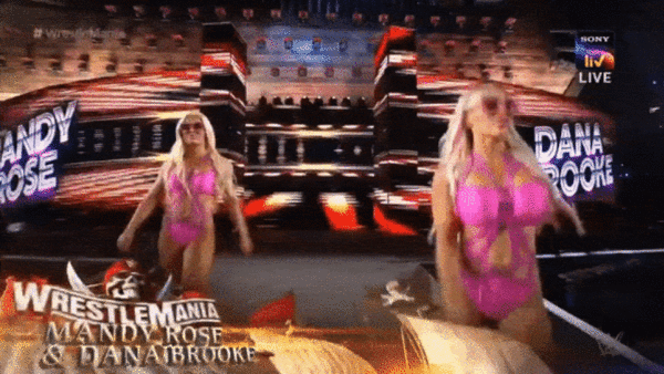 agnes ting recommends Dana Brooke Wardrobe Malfunction