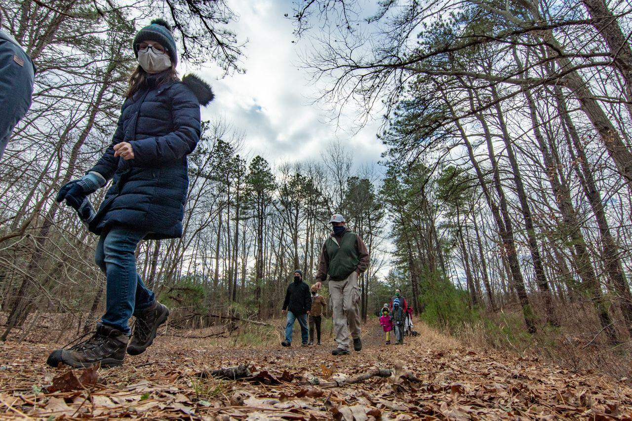 brice zimmerman add banging in the woods photo