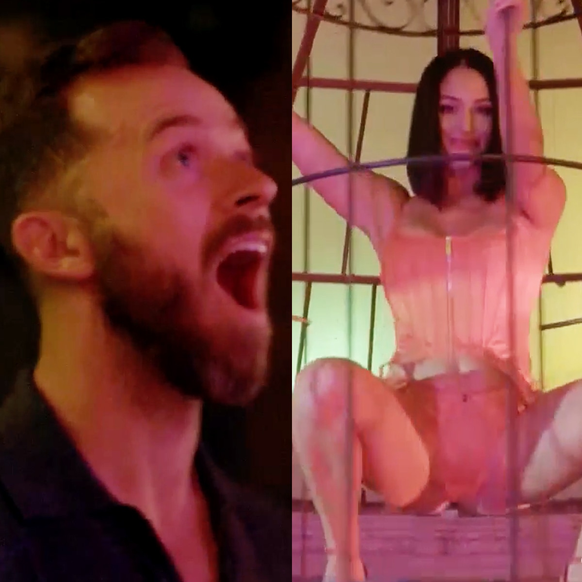 alexander beliaev share wwe nikki bella twerking photos