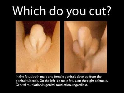 ali al qubaisi add female genital mutilation porn photo