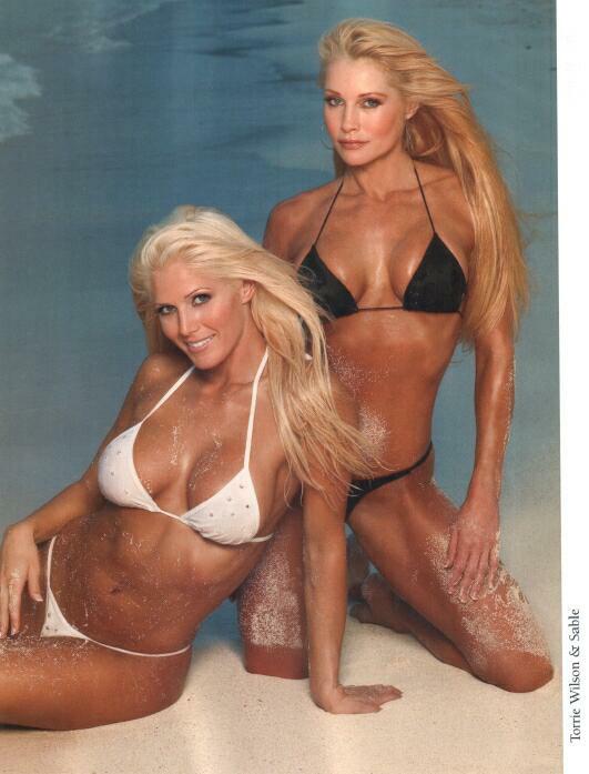 ayman mahmoued share sable and torrie playboy photos