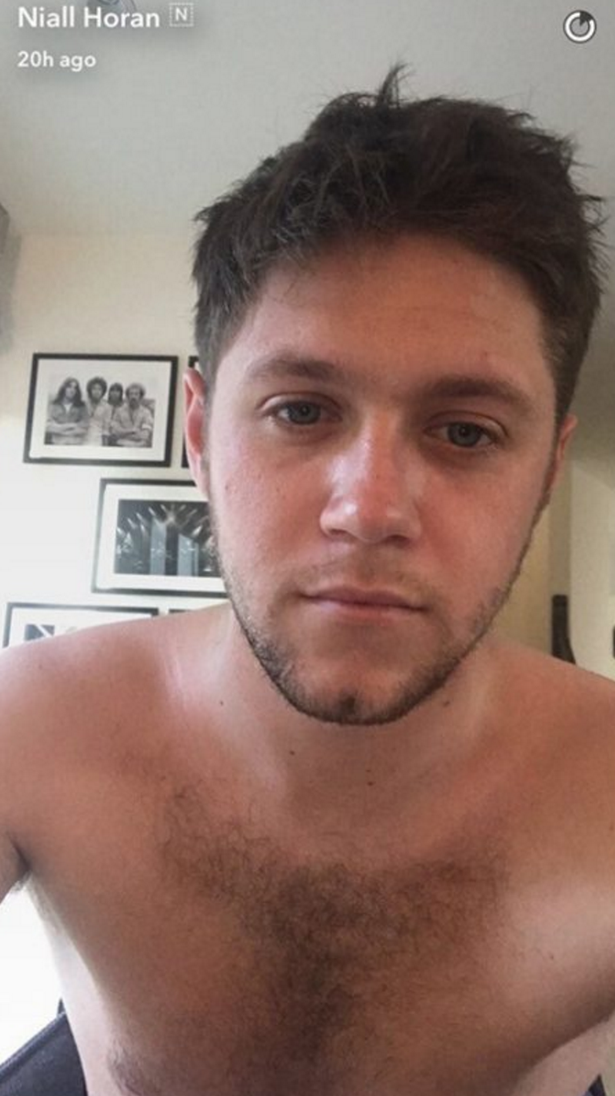 danial brown recommends Niall Horan Nude