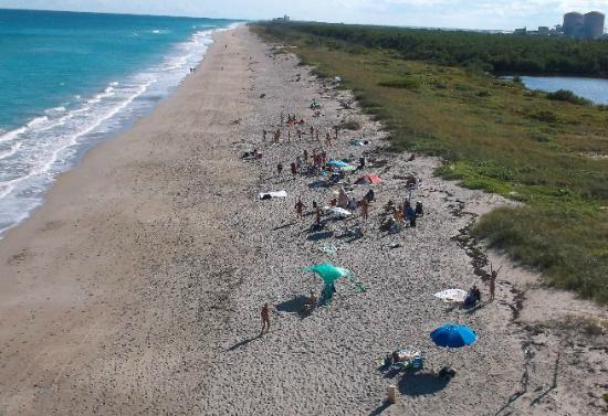 ashley firefly recommends blind creek beach florida pic