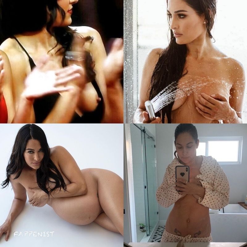 Best of Wwe bella twins nipple slip