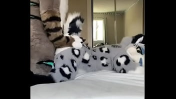 fursuit porn straight