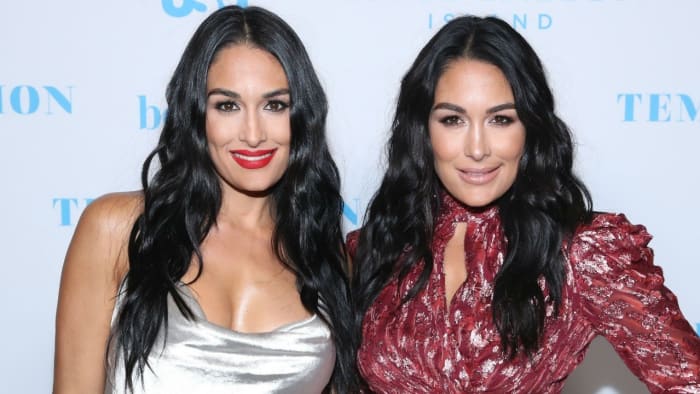 ana jeremic recommends brie bella having sex pic