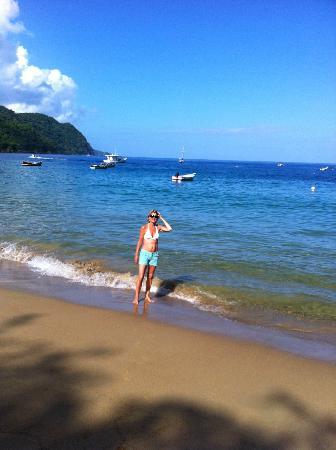 alexandra reed recommends Naturalist Beach Photos