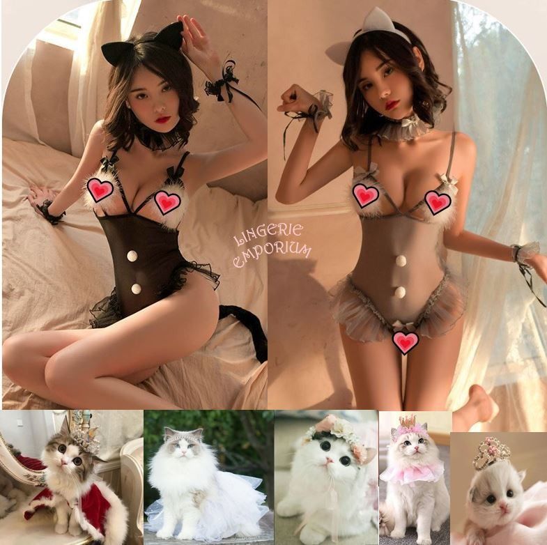 carlos prats recommends Sexy Cat Lingerie