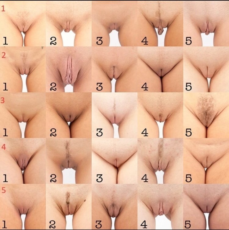 Types Of Vagina Porn other insertions