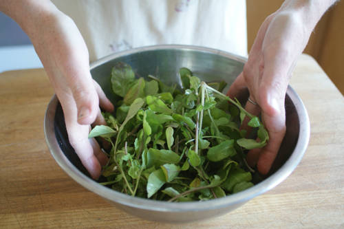 andre tyo recommends What Does Toss Your Salad Mean