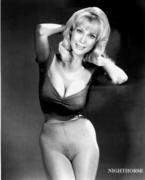 ben yefet recommends barbara eden fake nude pictures pic