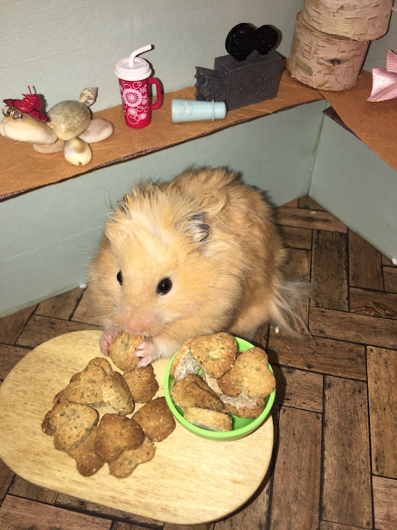 ashish g recommends hamster eating banana pic