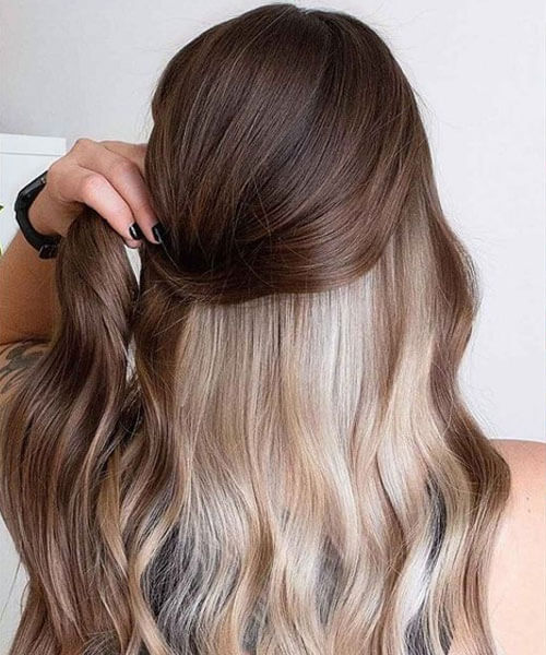 Best of Dark hair with blonde underneath