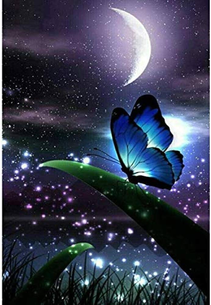 dennis barcinas add photo mariposa luz de la luna