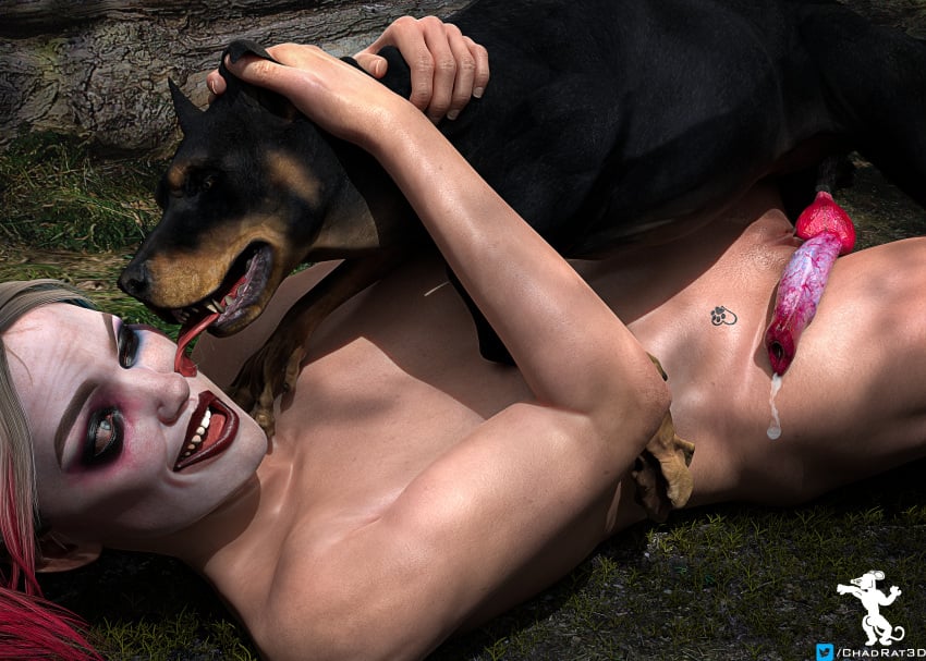 cheryl eichman recommends Harley Quinn Fucked By Dogs