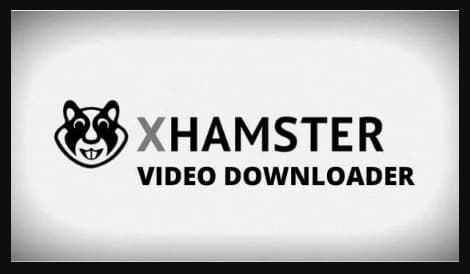 darcy bates recommends xhamstervideodownloader apk for chromebook os chrome pic