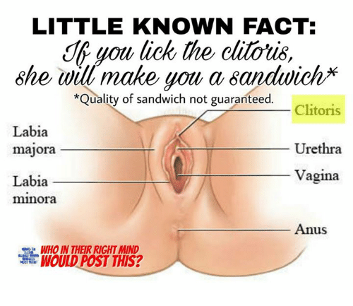 beatrice house recommends where to lick a girls vagina pic