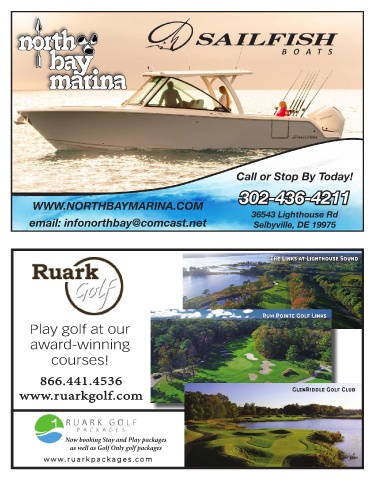 cody berkshire recommends assawoman bay tide chart pic
