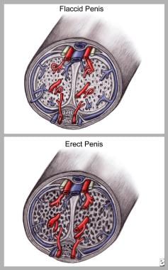 abd garhe recommends injecting cocaine into penis pic