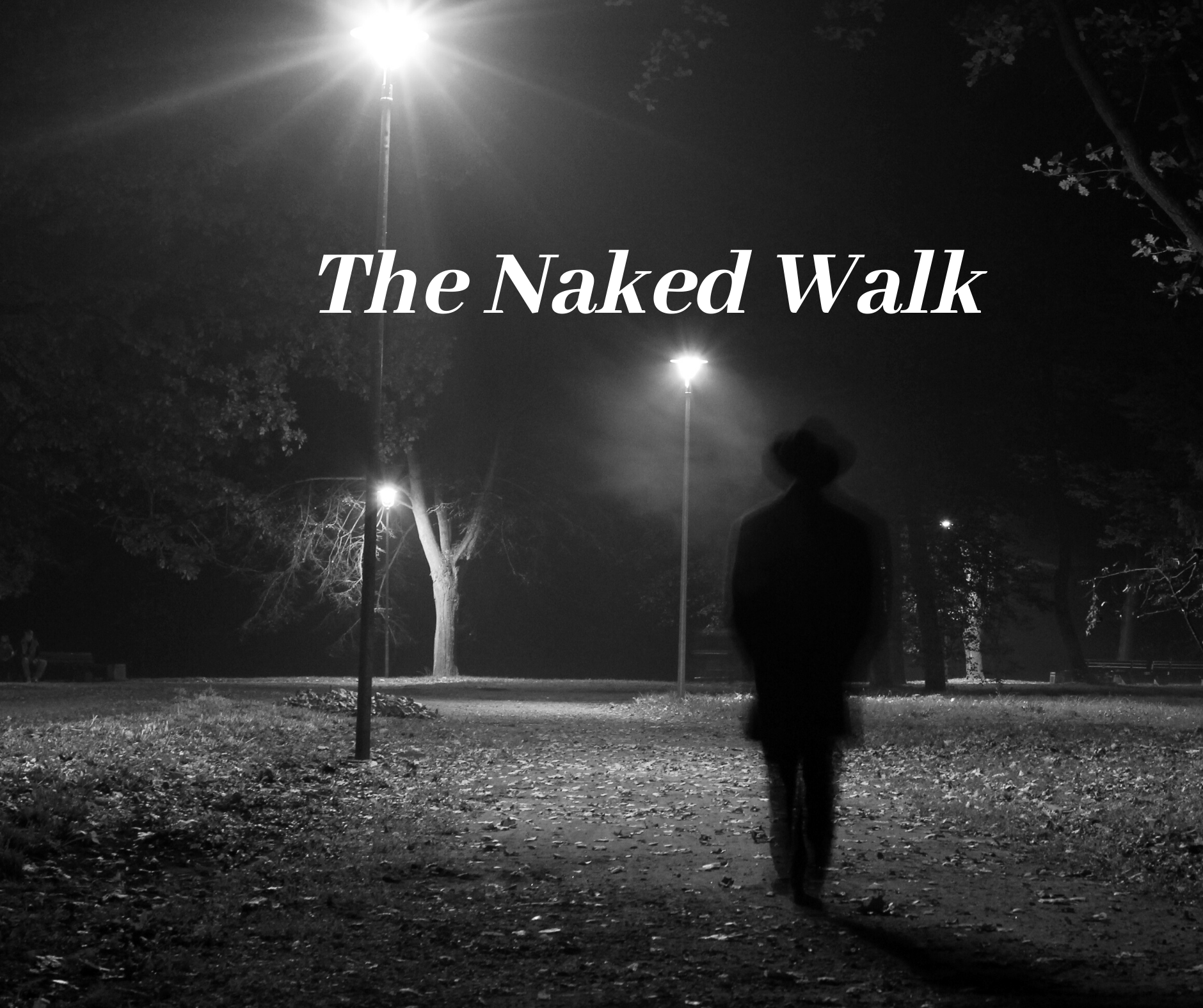 andrew gullen recommends Walking Naked At Night