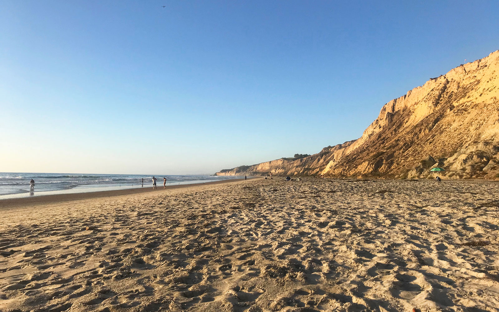 andre woodbury recommends blacks beach pics pic