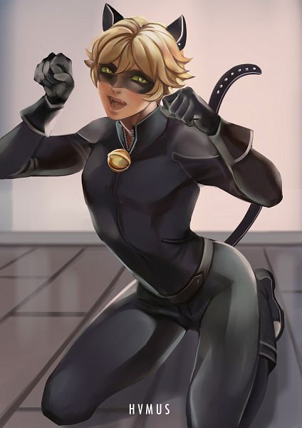 cat noir sexy