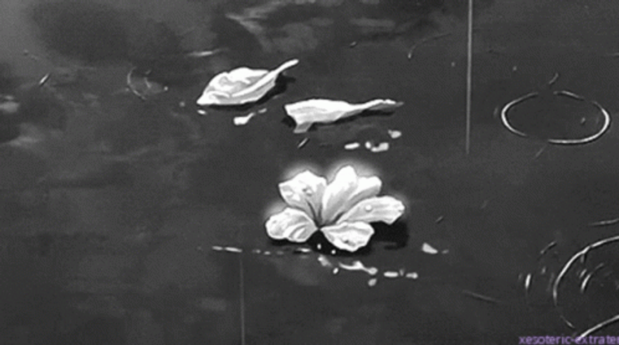 black and white aesthetic gif