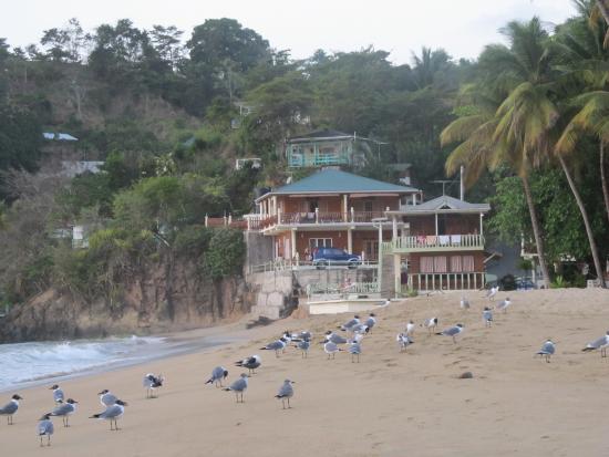 Naturalist Beach Photos ladies de