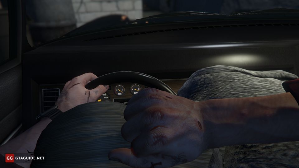 bryan muniz recommends gta v blowjob pic