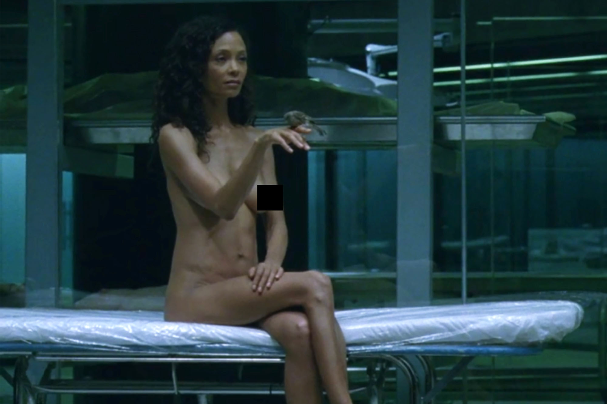 andrew wiesman recommends Thandie Newton Naked Pics