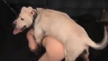 fucked in the ass by a dog