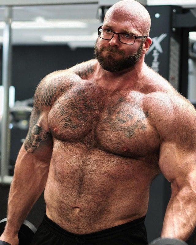 abby cress add photo hairy bear muscle men