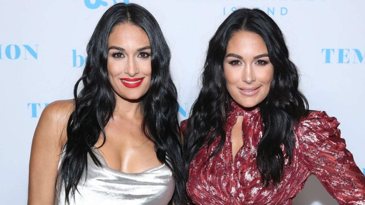 donna romberger add photo nikki bella leaked pictures