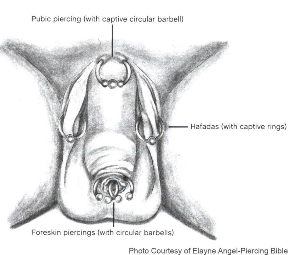 male genital piercings pictures