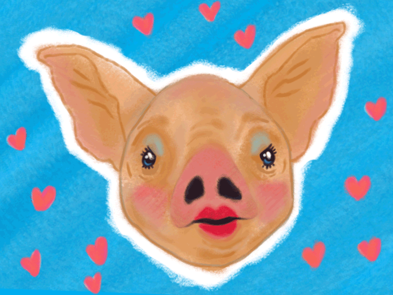 bam pineda share how to draw a pig gif photos