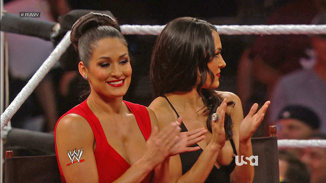 bella twins nip slips