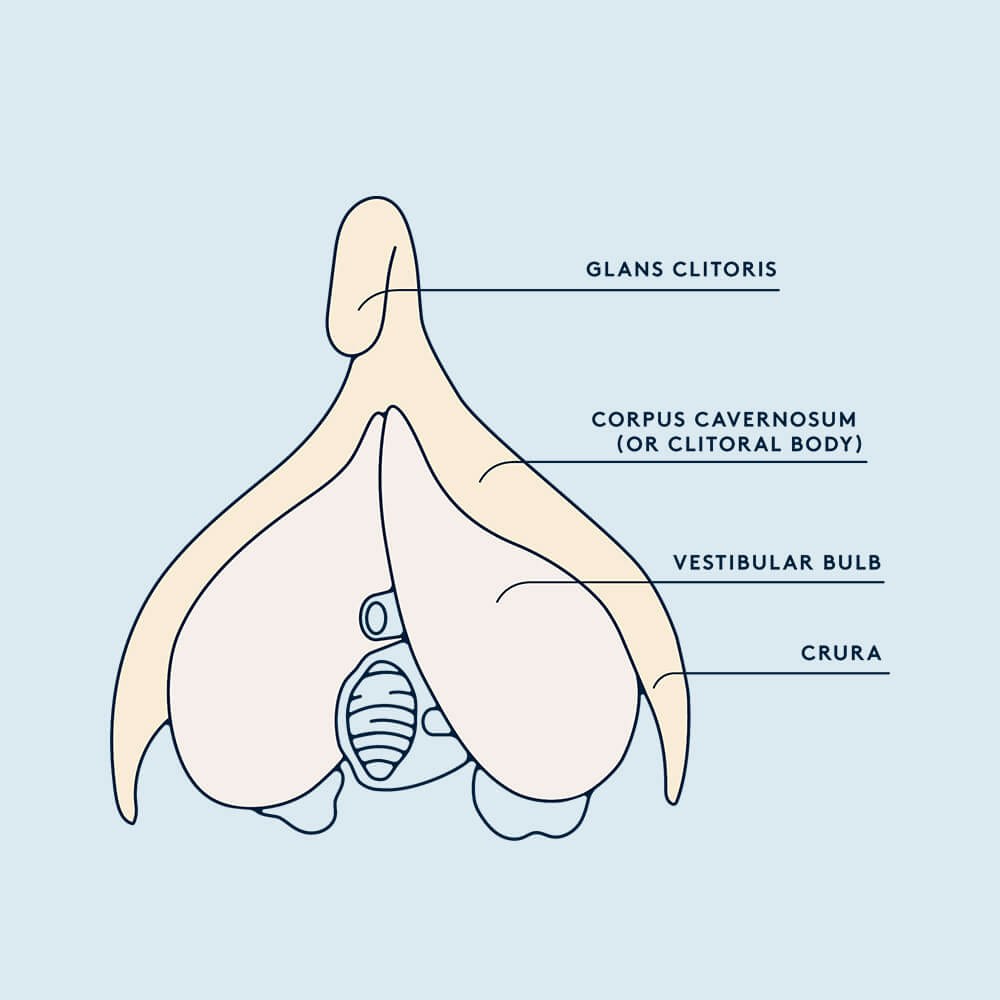 Best of Water pressure on clit