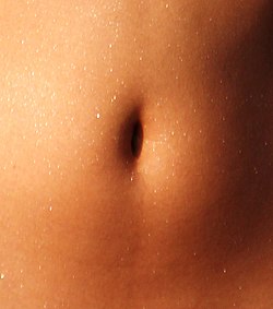 chinmaya kumar rath recommends Male Belly Button Fetish