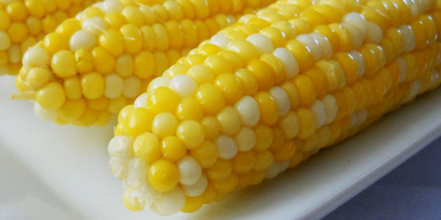 debra morecraft recommends Pictures Of Corn On The Cob