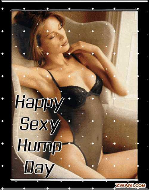 daniel tousignant recommends happy sexy hump day pic