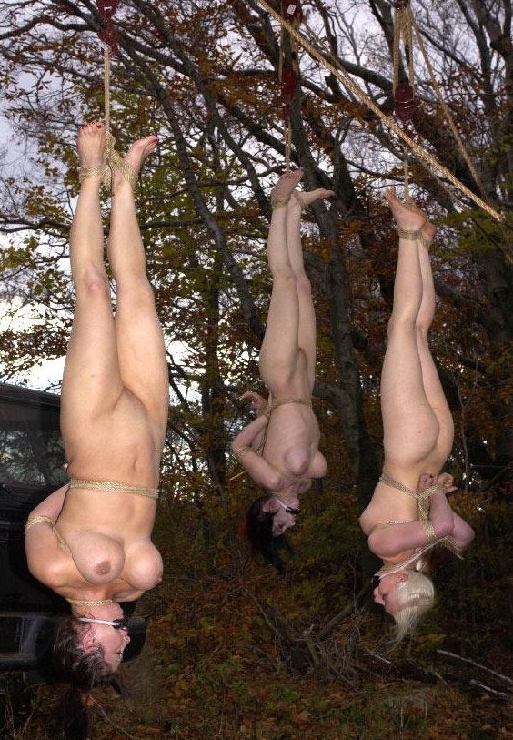 andrew awkar add naked woman upside down photo